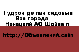 Гудрон де пин садовый - Все города  »    . Ненецкий АО,Шойна п.